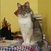 Отзыв от Екатерина Колпакова